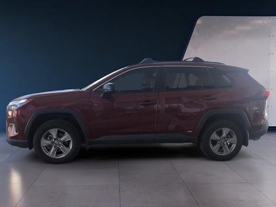 2024 Toyota RAV4 Hybrid LE AWD (Natl)
